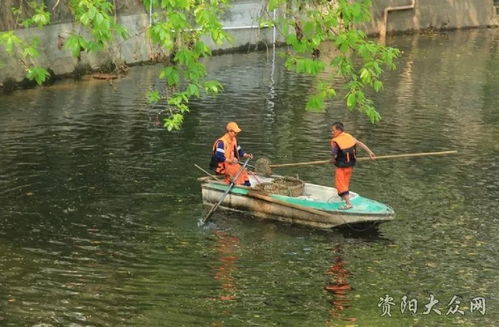 这河里吗,河流的多样性与生态价值(图2)