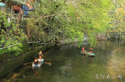 这河里吗,河流的多样性与生态价值(图3)