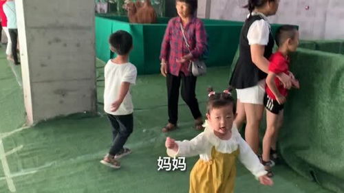 和五岁小孩玩什么游戏(图10) 和五岁小孩玩什么游戏(图10)