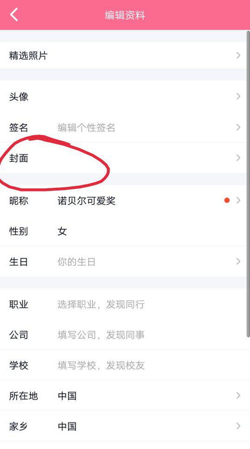 纸飞机语言包怎么设置搞笑,纸飞机语言包设置，笑出腹肌的教程！(图5)