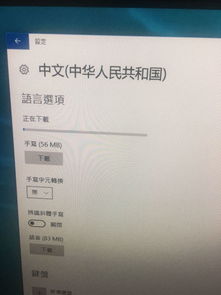 电脑飞机怎么下载中文包,电脑飞机游戏如何下载中文包(图6)