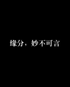 缘缘交友可不可靠,缘缘交友软件——可靠性分析