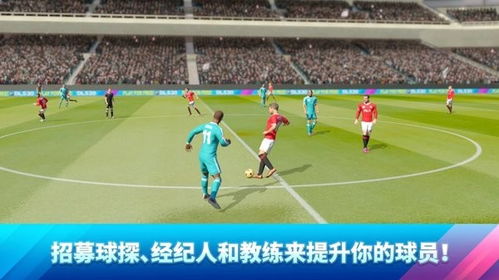 soccer legends 2021,soccer legends2021(图7)