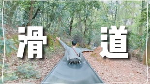 密室逃脱13秘密任务安卓版(图4) 密室逃脱13秘密任务安卓版(图4)