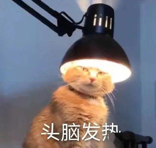 i问财安卓版(图2) i问财安卓版(图2)