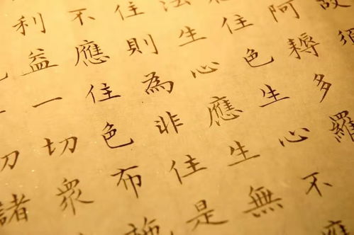 小鸟家装安卓版(图2) 小鸟家装安卓版(图2)