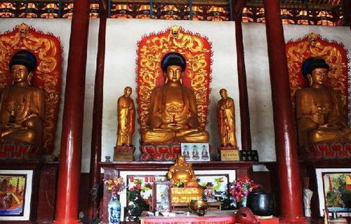 小鸟家装安卓版(图5) 小鸟家装安卓版(图5)