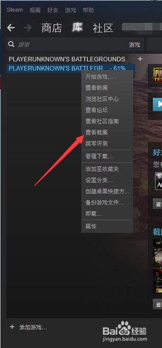 steam大航海起源如何截图,轻松捕捉游戏精彩瞬间(图4)