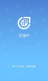 芝麻ip,芝麻IP——网络数据安全的守护者