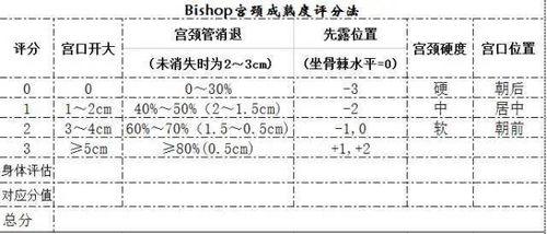 b计划:启程拓殖评分,启程拓殖评分——探索虚拟世界的新维度(图1)