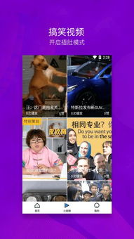 优酷视频安卓版(图6) 优酷视频安卓版(图6)