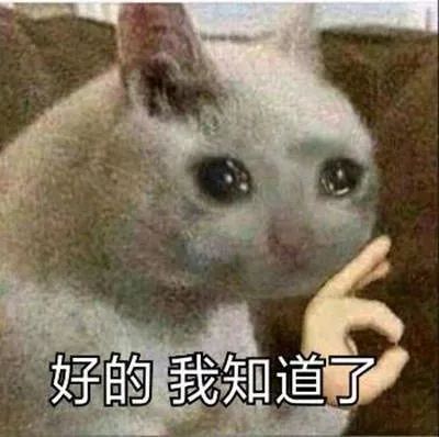 你会打字吗安卓版(图5) 你会打字吗安卓版(图5)