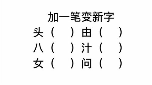 小青账安卓版(图2)