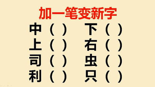 小青账安卓版(图5)