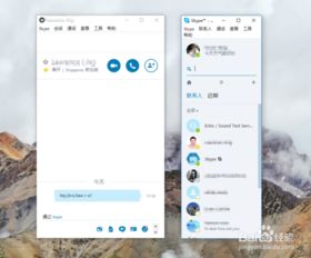 skype最新版8.96.0.207,Skype最新版8.96.0.207全面升级，带来全新体验(图9)