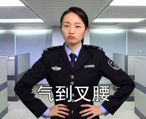 这就是警察,这就是警察——守护平安的守护者