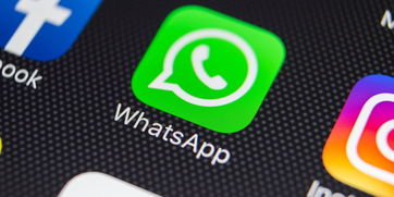 whatsapp,whats app电脑版下载(图4)