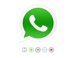 whatsapp,whats app电脑版下载(图3)