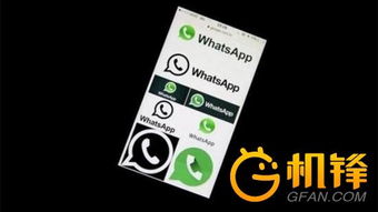 whatsapp,whats app电脑版下载(图11)