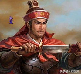 三国王睿,三国时期王睿的传奇人生(图2)