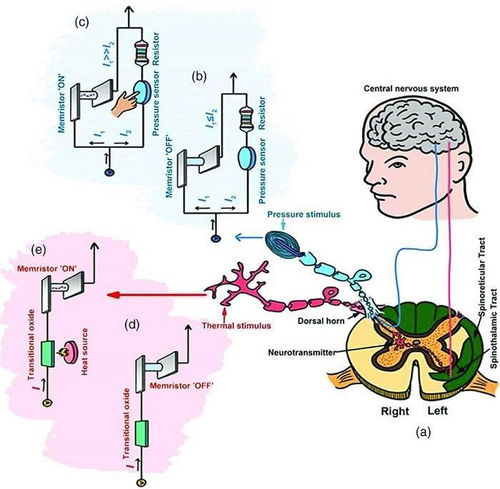 advanced intelligent system,高级智能系统的定义(图4)