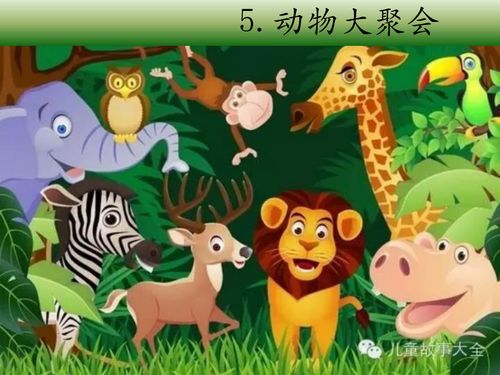 什么垃圾安卓版(图1) 什么垃圾安卓版(图1)