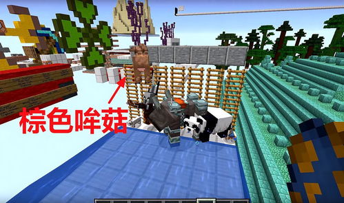 什么垃圾安卓版(图4) 什么垃圾安卓版(图4)