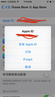 纸飞机app修改为中文,纸飞机App轻松设置中文，畅享无障碍沟通体验(图7)