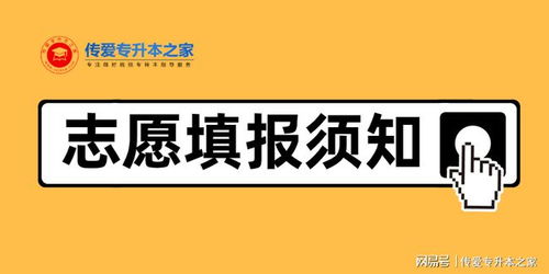 重庆专升本志愿填报系统,助力考生精准选择理想院校(图10)