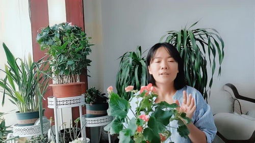 我是网红MCN安卓版(图1)