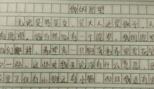 逆光代售安卓版(图4) 逆光代售安卓版(图4)