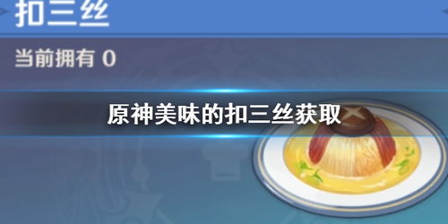 原神美味的扣三丝在哪,探寻神秘美食的踪迹(图7)