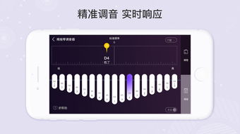 专业调音器大全,音乐爱好者的得力助手(图5)