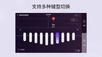 专业调音器大全,音乐爱好者的得力助手(图6)