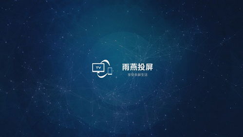 雨燕投屏,雨燕投屏——跨平台投屏新体验(图3)