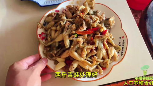 让青蛙肉更松脆,如何让青蛙肉更松脆——烹饪技巧大揭秘(图3)