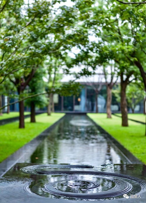 雨打蕉叶又潇潇了几夜