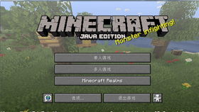 minecraft 1.16.5 更新乐啥(图4)