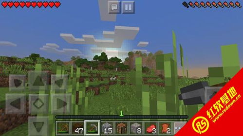 minecraft 1.16.5 更新乐啥(图7)