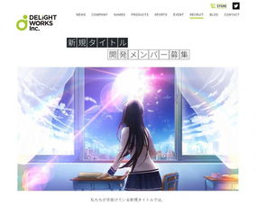 delight 开发,创新科技引领未来生活体验