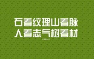 正能量网站www正能量免费下,拥抱正能量，开启美好人生(图2)