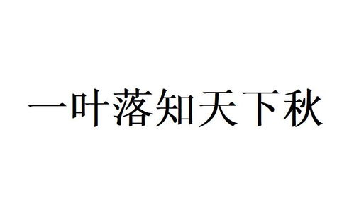 知天下,知天下，行万里——探索互联网时代的知识获取之道(图3)