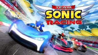 team.sonic.racing 游戏,速度与激情的赛道竞技盛宴