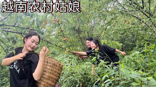 越南姑娘水蜜桃,美丽与魅力的完美融合(图4)