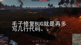 战争雷霆bug提交,如何提交战争雷霆游戏中的bug——畅享无障碍游戏体验(图4)