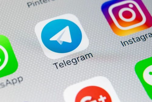 telegram 取消附近的人,操作指南与注意事项