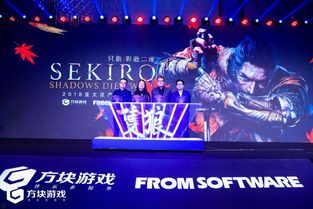 fromsoftware 新作,探索未知领域的游戏巨匠(图4)