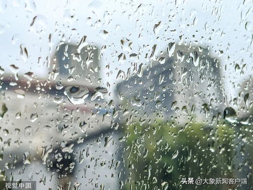 雨裁适合谁用,适合哪些角色使用？