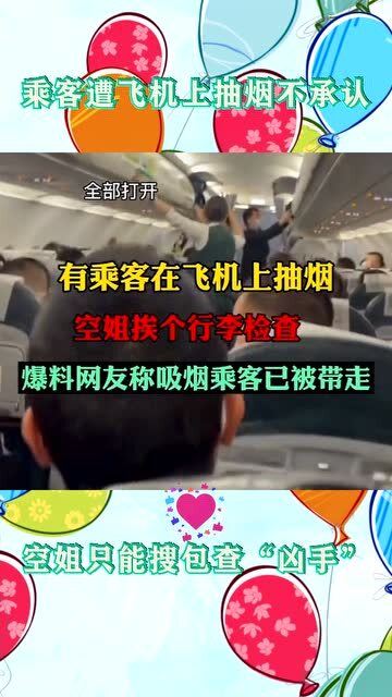 飞机中文包怎么搜索,飞机中文包搜索指南(图2)