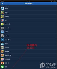 飞机中文包怎么搜索,飞机中文包搜索指南(图3)